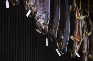 【オンライン講座】食の新潟ガイドブック　鮭とともにある歴史と食文化が残る新潟・村上の鮭文化を訪ねる